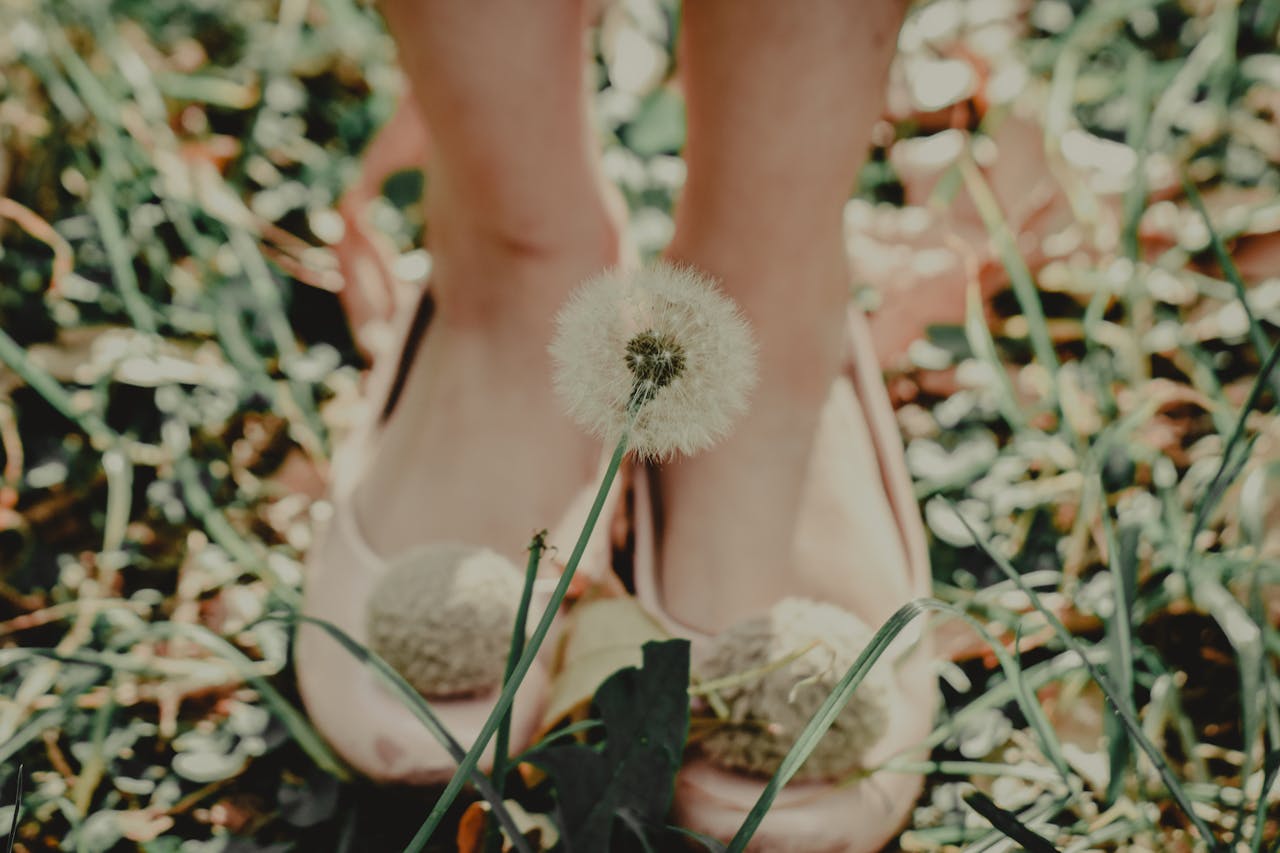Close-up of a woman's feet in pink shoes standing in green grass with a focus on a blooming dandelion.